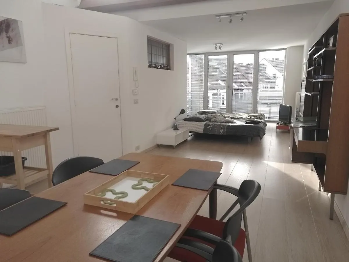 Sfeervol rustige loft Lejlighed Oostende